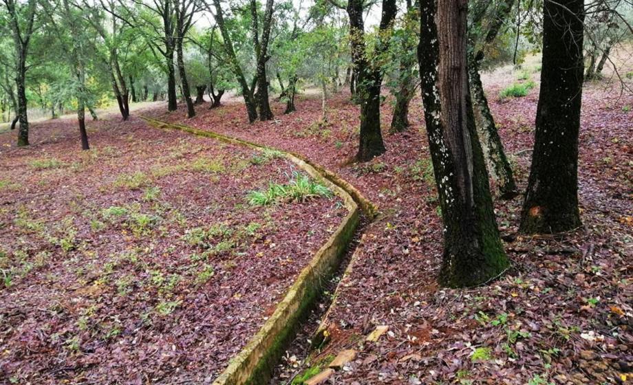 Finca La Liserilla Galaroza Zewnętrze zdjęcie