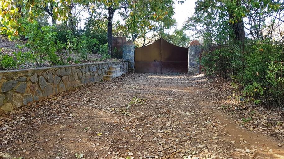 Finca La Liserilla Galaroza Zewnętrze zdjęcie