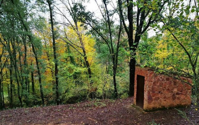 Finca La Liserilla Galaroza Zewnętrze zdjęcie